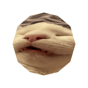 The chonky benorb