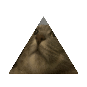 The holy leslimid